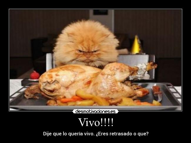 Vivo!!!! -