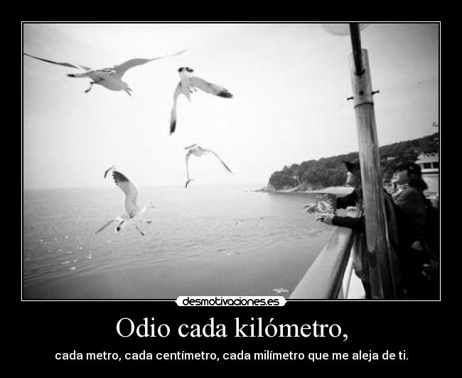 carteles odio tu desmotivaciones