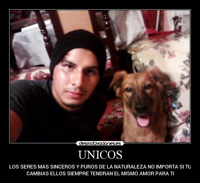 UNICOS -