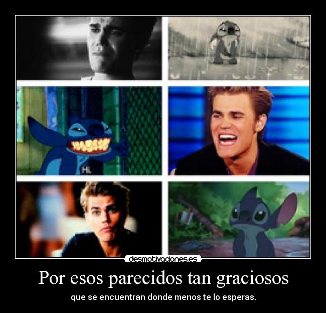 Por esos parecidos tan graciosos - que se encuentran donde menos te lo esperas.