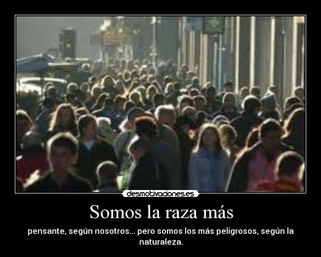 carteles peligrosa desmotivaciones