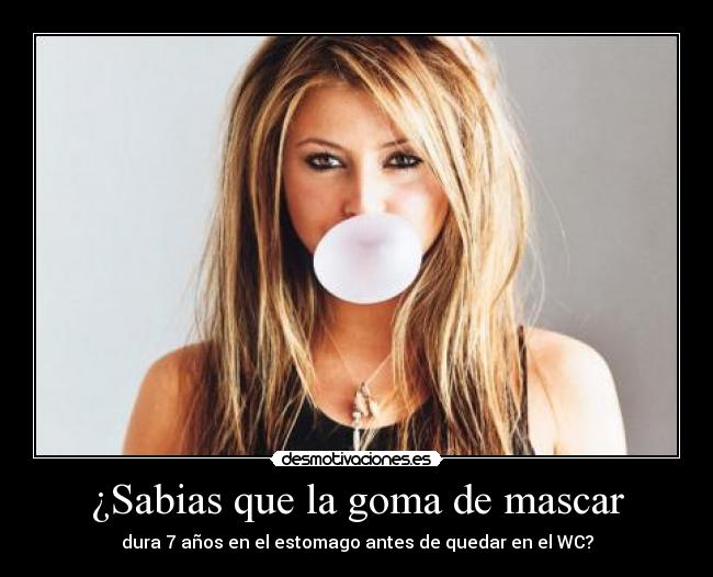 ¿Sabias que la goma de mascar - dura 7 años en el estomago antes de quedar en el WC?