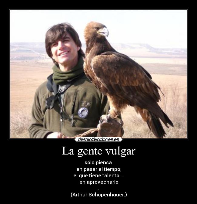 carteles cetreria halcon joven aguila desmotivaciones