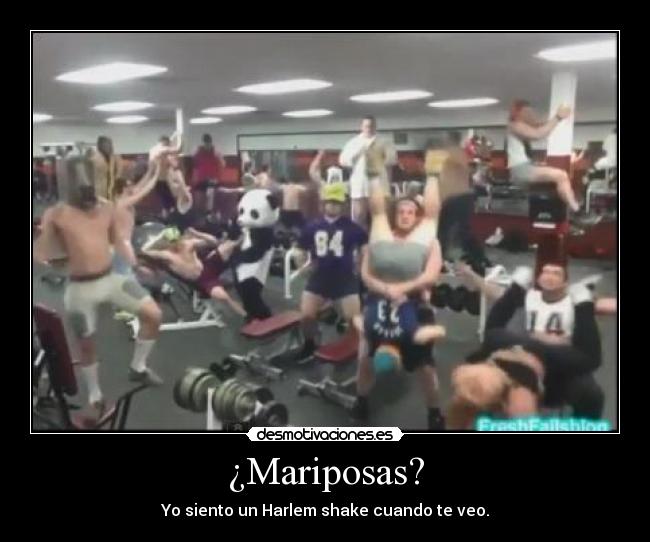 ¿Mariposas? - Yo siento un Harlem shake cuando te veo.