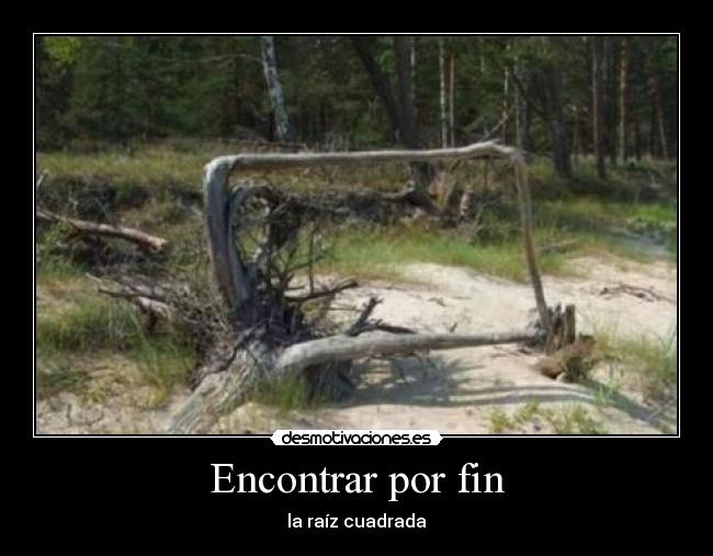Encontrar por fin - 