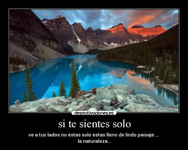 si te sientes solo -
