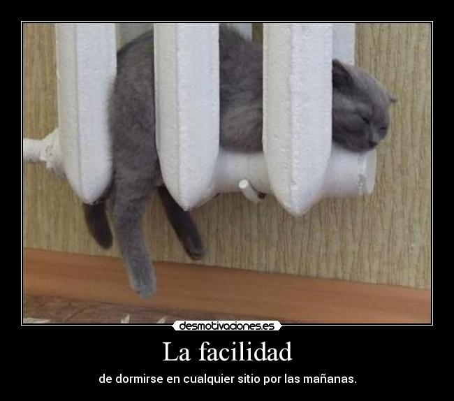 La facilidad - de dormirse en cualquier sitio por las mañanas.