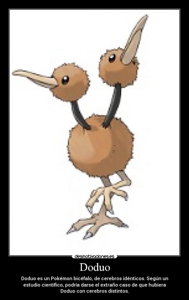 Doduo - 