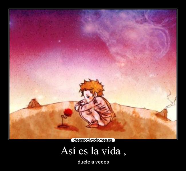 Así es la vida , - duele a veces