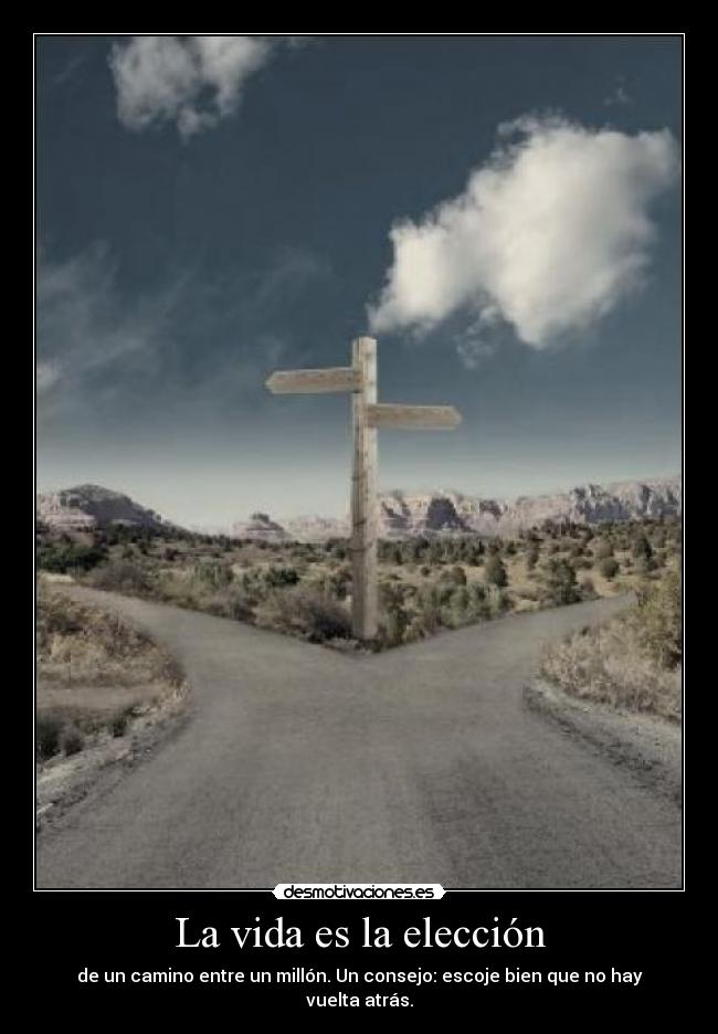 Essay on the road not taken