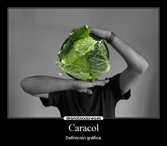 carteles caracol definicion grafica welmfao desmotivaciones