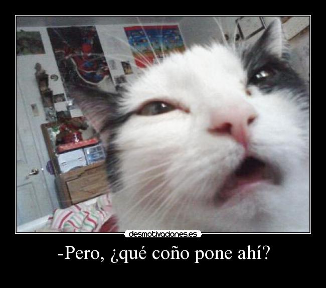 -Pero, ¿qué coño pone ahí? -