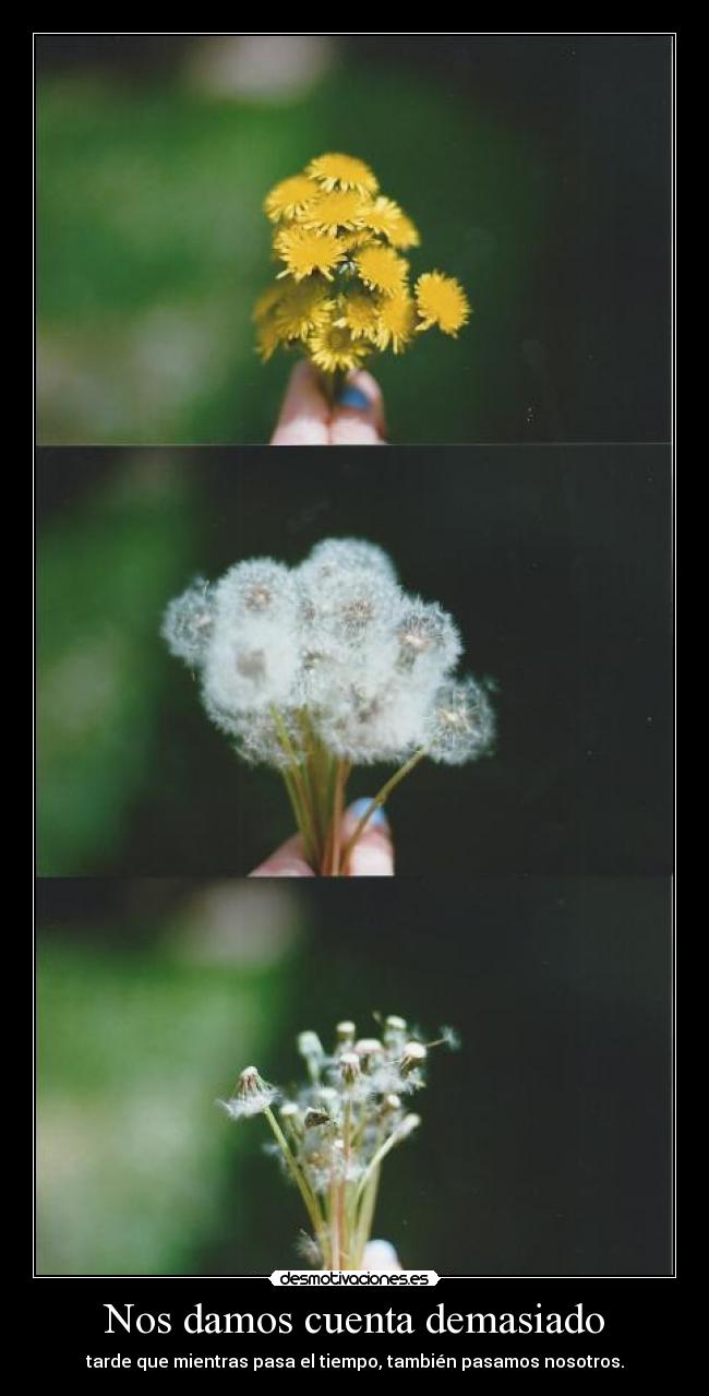 Nos damos cuenta demasiado -