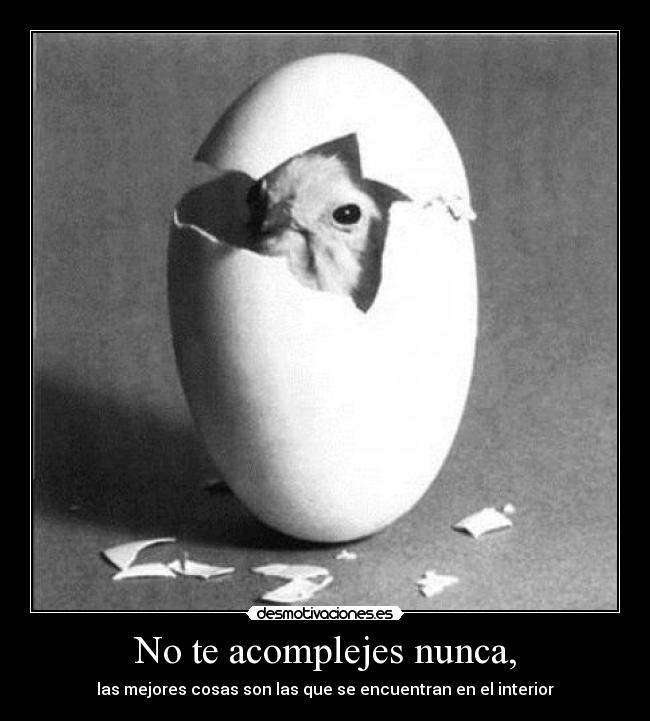 No te acomplejes nunca, -