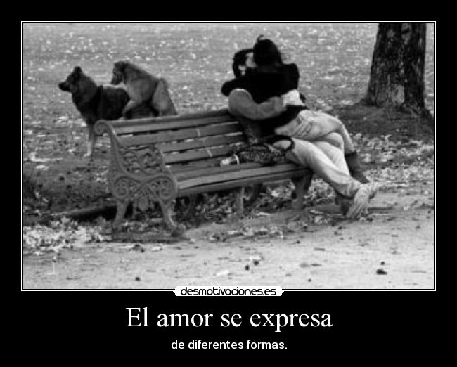 El amor se expresa - de diferentes formas.