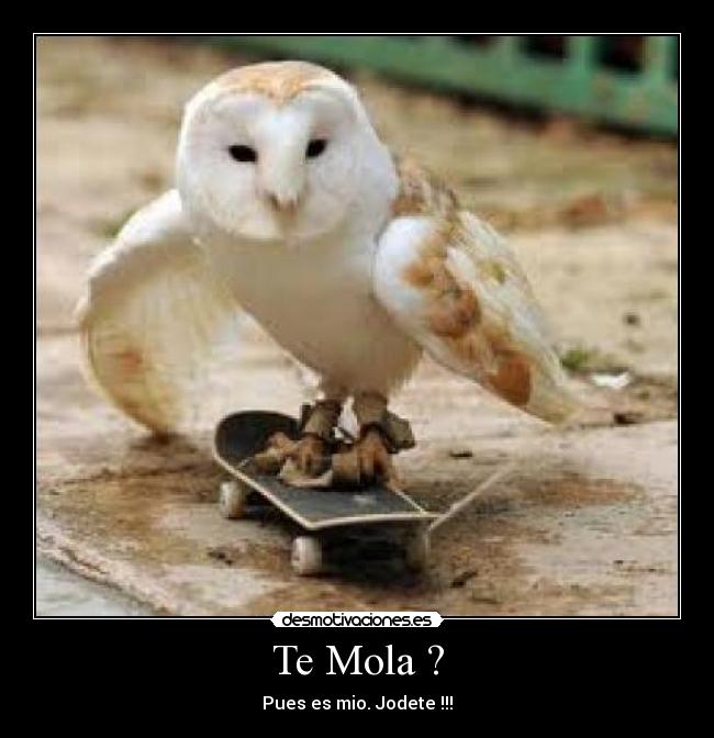 Te Mola ? - Pues es mio. Jodete !!!