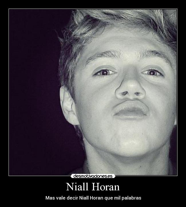 carteles niall horan desmotivaciones