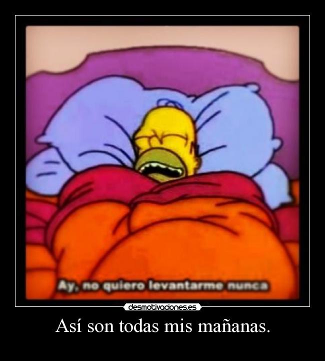 Así son todas mis mañanas. -