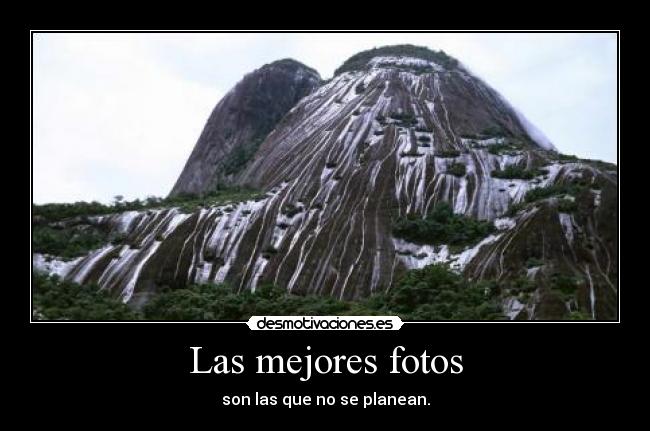 Las mejores fotos - son las que no se planean.