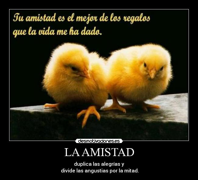 LA AMISTAD - duplica las alegrías y
 divide las angustias por la mitad.