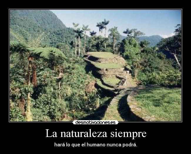 La naturaleza siempre - hará lo que el humano nunca podrá.