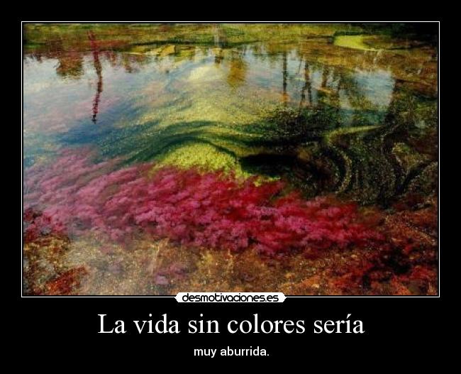 carteles vida lalala desmotivaciones