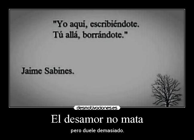 El desamor no mata -