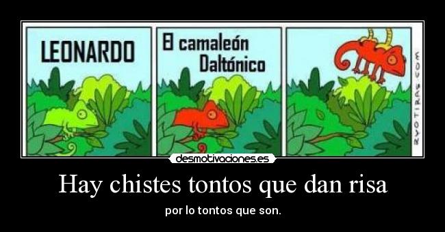 chistes tontos que dan risa chistes tontos que dan risa