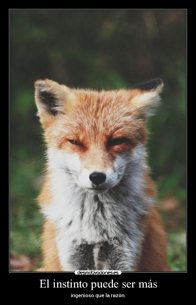 El instinto puede ser más -