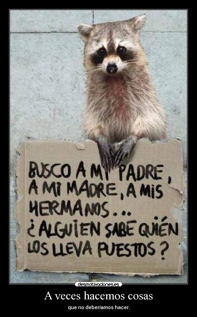 A veces hacemos cosas - que no deberíamos hacer.