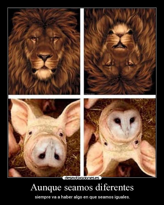 Aunque seamos diferentes -