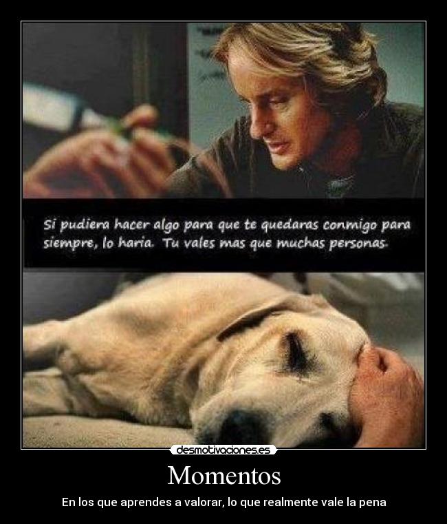 Momentos -