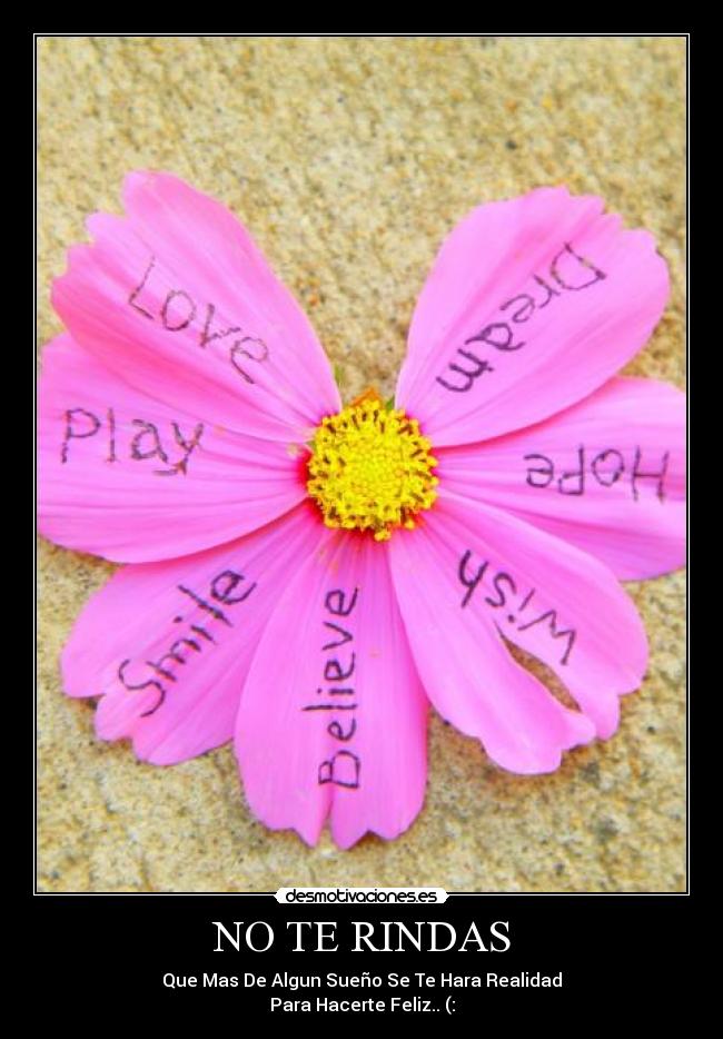 NO TE RINDAS - Que Mas De Algun Sueño Se Te Hara Realidad
Para Hacerte Feliz.. (: