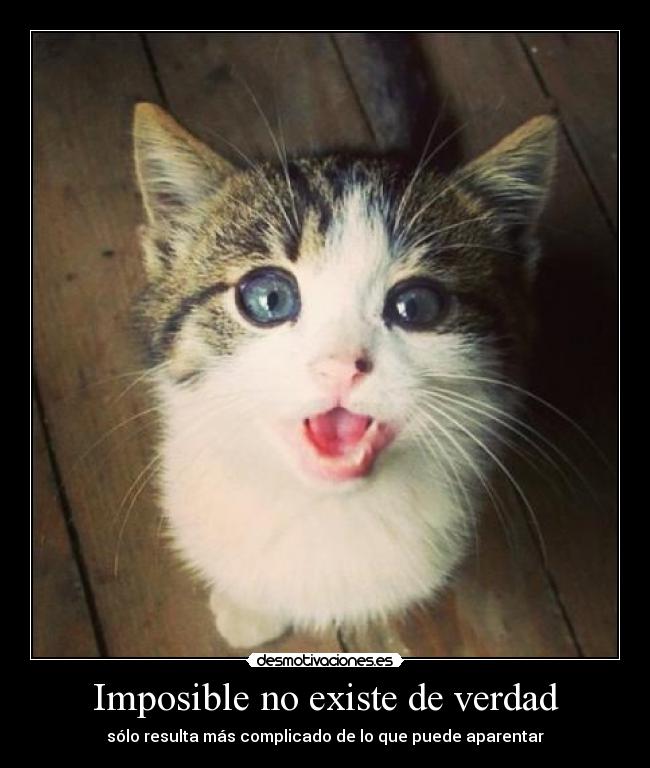 Imposible no existe de verdad - 