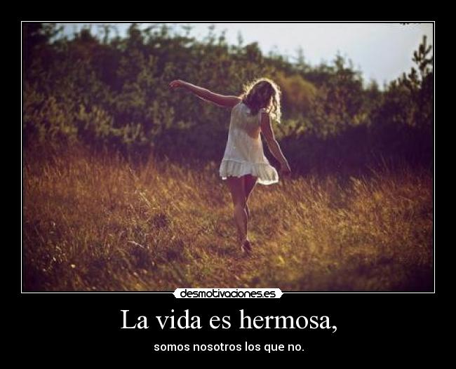 carteles vida deja joderle vida todo mundo desmotivaciones