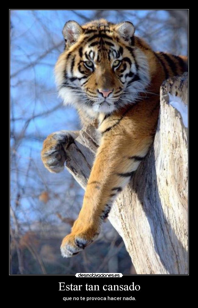 Estar tan cansado - que no te provoca hacer nada.