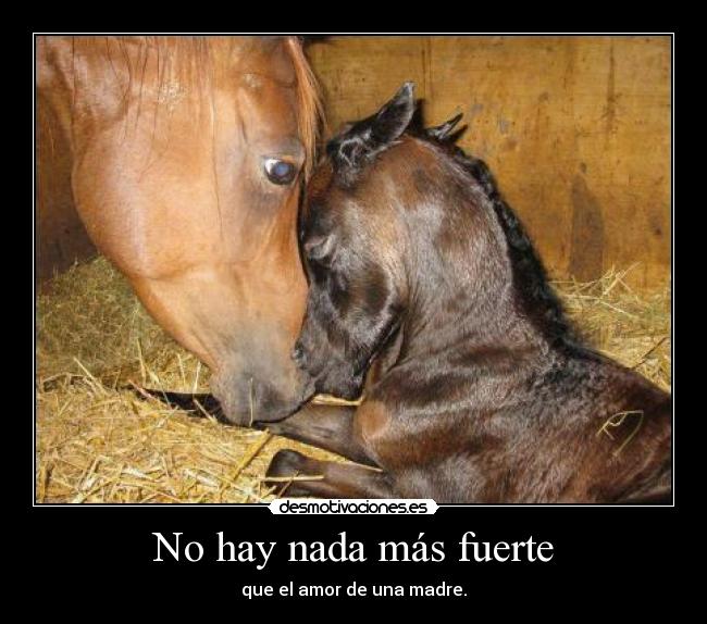 No hay nada más fuerte -
