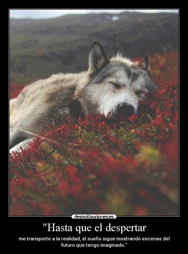 Hasta que el despertar -