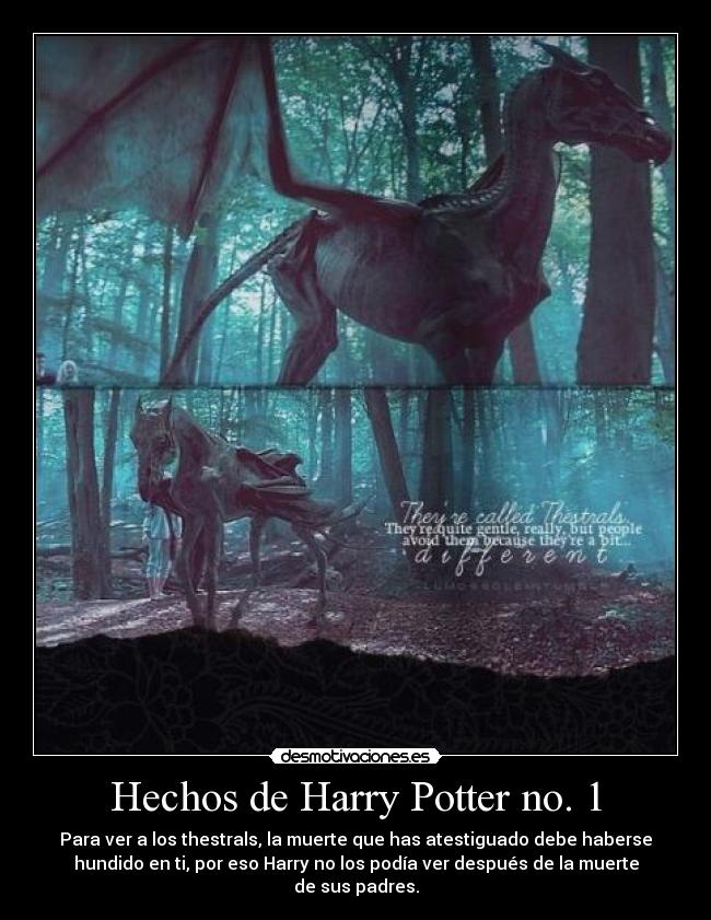 Hechos de Harry Potter no. 1 - Para ver a los thestrals, la muerte que has atestiguado debe haberse
hundido en ti, por eso Harry no los podía ver después de la muerte
de sus padres.