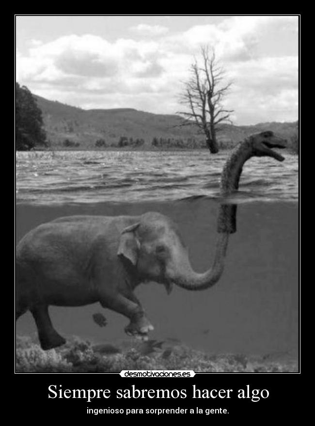 Siempre sabremos hacer algo -