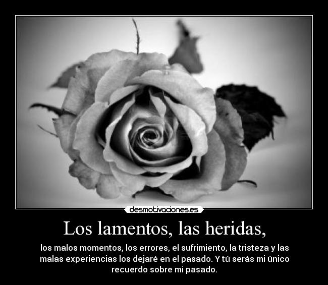 Los lamentos, las heridas, -