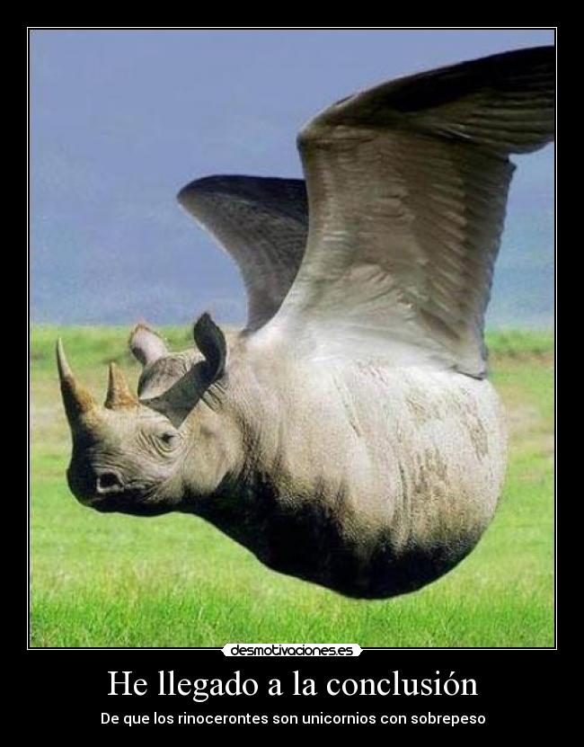 He llegado a la conclusión - De que los rinocerontes son unicornios con sobrepeso