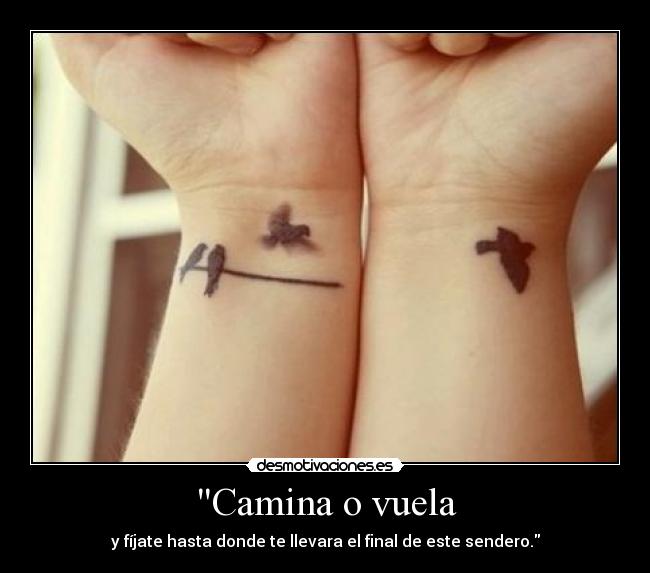 Camina o vuela -