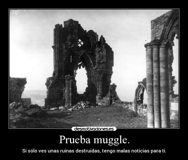 Prueba muggle. - Si sólo ves unas ruinas destruidas, tengo malas noticias para ti.