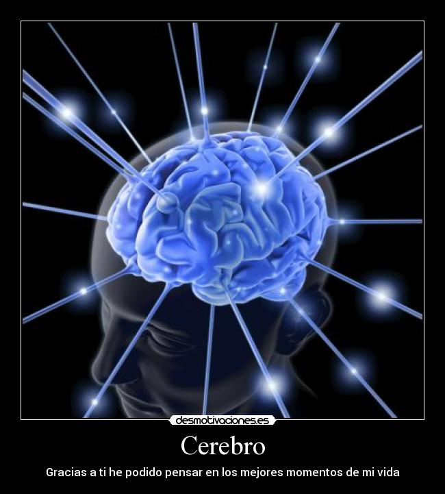 Cerebro - Gracias a ti he podido pensar en los mejores momentos de mi vida
