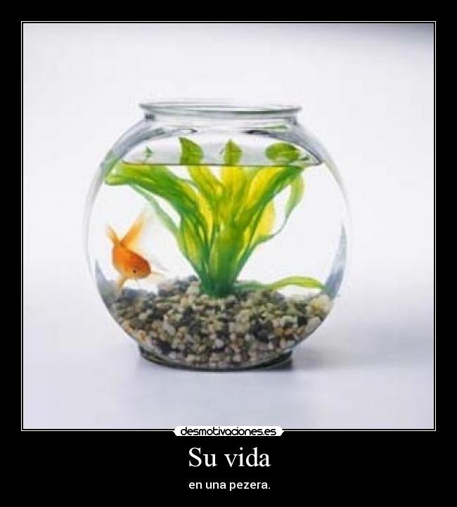 Su vida - en una pezera.