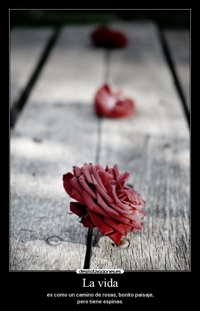 La vida -