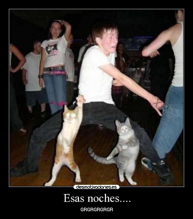 Esas noches.... -