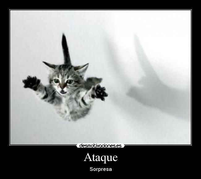 Ataque -
