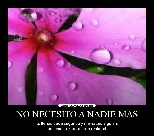 NO NECESITO A NADIE MAS - tu llenas cada segundo y me haces alguien.
un desastre, pero es la realidad.